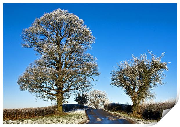 Winter Trees Print by Trevor Kersley RIP