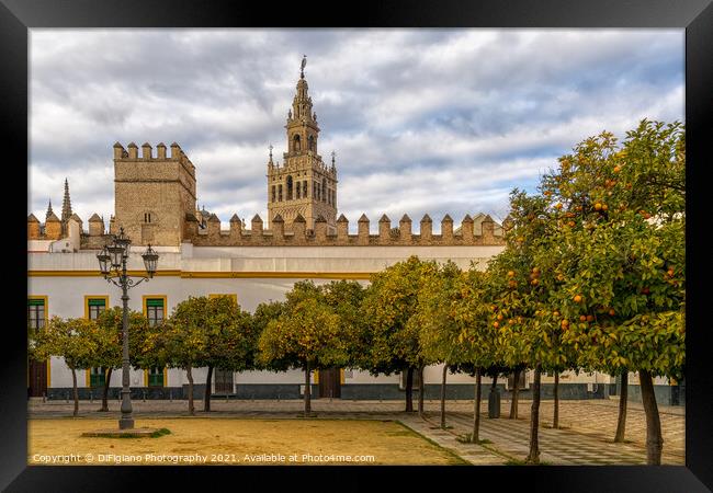 the historic Patio de Banderas in Seville with the cathedral in the background Framed Print by DiFigiano Photography