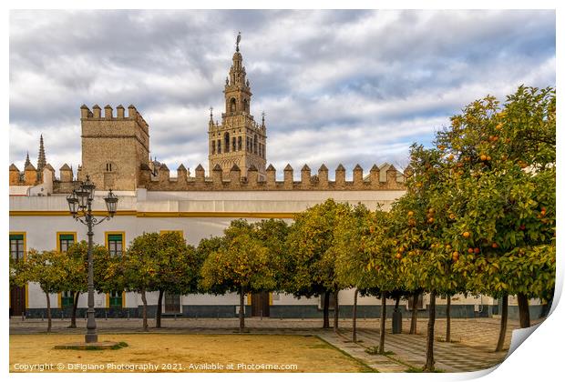 the historic Patio de Banderas in Seville with the cathedral in the background Print by DiFigiano Photography