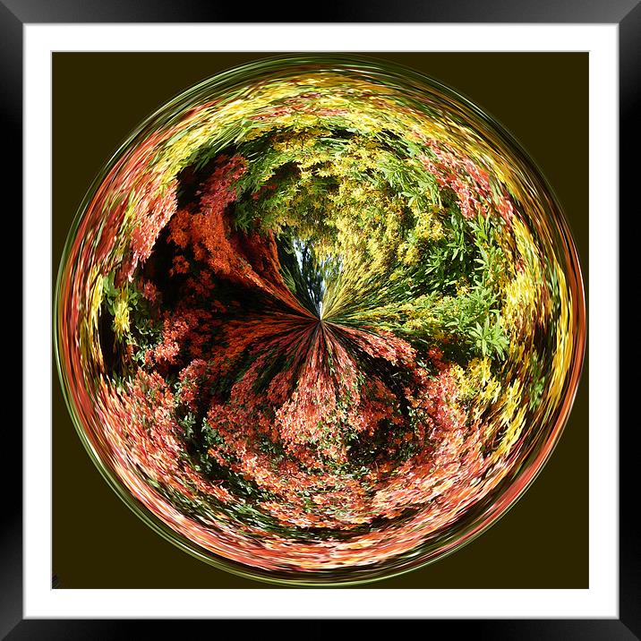 Spherical Flower Power Framed Mounted Print by Robert Gipson