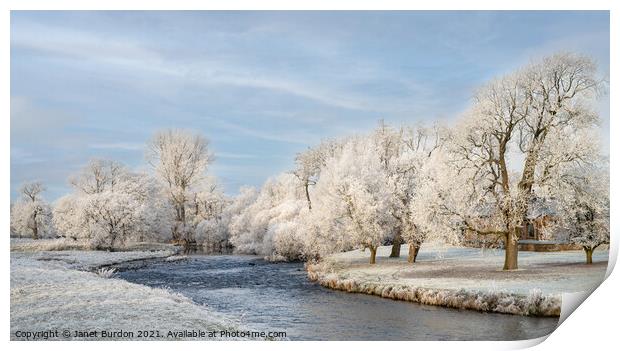 The River Eamont in Winter Print by Janet Burdon
