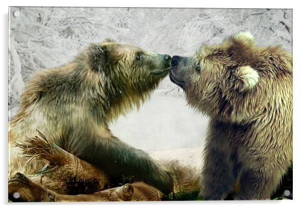 Bearkiss Acrylic by Julie Hoddinott