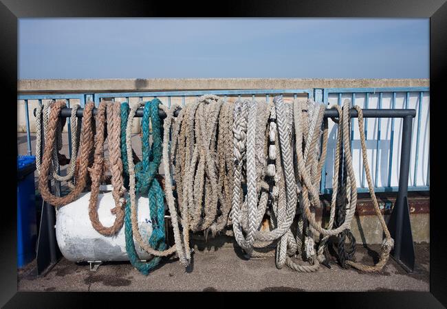 Old Anchor Ropes And Mooring Lines Framed Print by Artur Bogacki