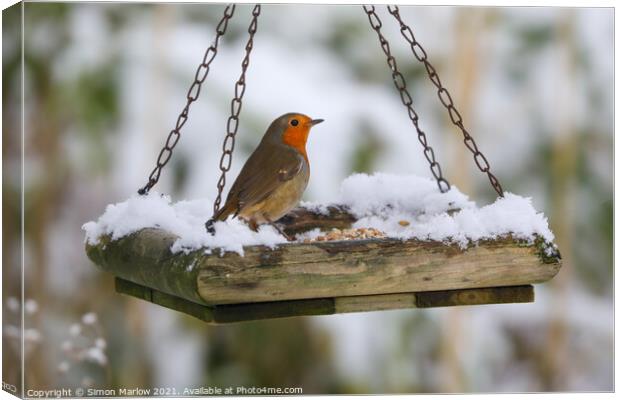Robin on a snow covered feed tray Canvas Print by Simon Marlow