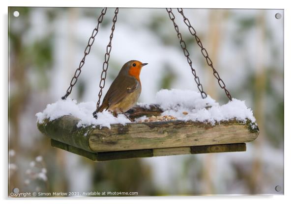 Robin on a snow covered feed tray Acrylic by Simon Marlow