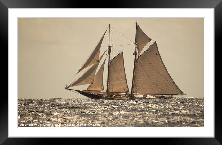 Columbia classic schooner. Framed Mounted Print by Ed Whiting
