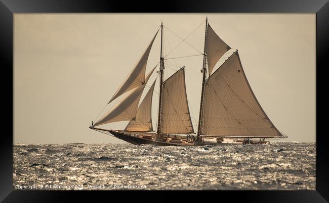 Columbia classic schooner. Framed Print by Ed Whiting