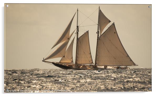 Columbia classic schooner. Acrylic by Ed Whiting