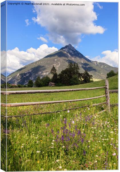Summer Meadow and a Mountain Canvas Print by Pearl Bucknall