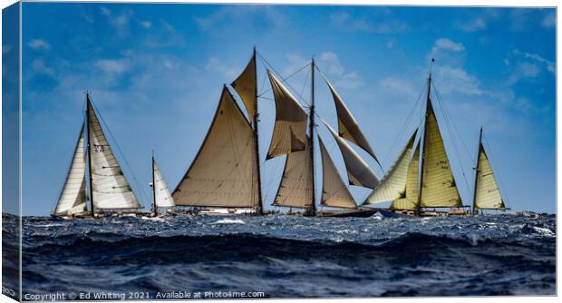 Classic yachts. Canvas Print by Ed Whiting