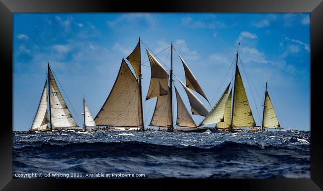 Classic yachts. Framed Print by Ed Whiting
