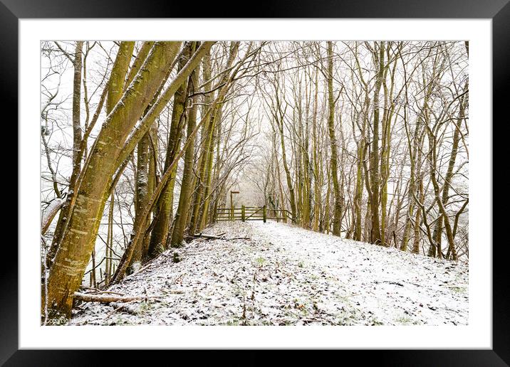 Snow Covered Footpath, Scottish Borders, United Kingdom Framed Mounted Print by Dave Collins