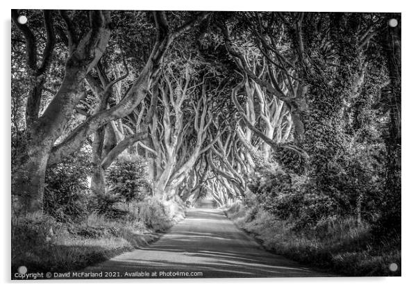 Mystical Dark Hedges, Northern Ireland Acrylic by David McFarland