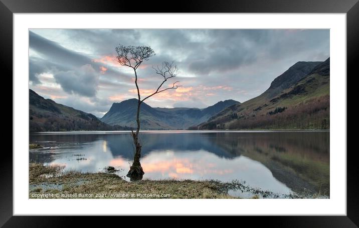 Lone tree at Buttermere Framed Mounted Print by Russell Burton