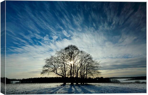 trees and sky Canvas Print by Simon Johnson