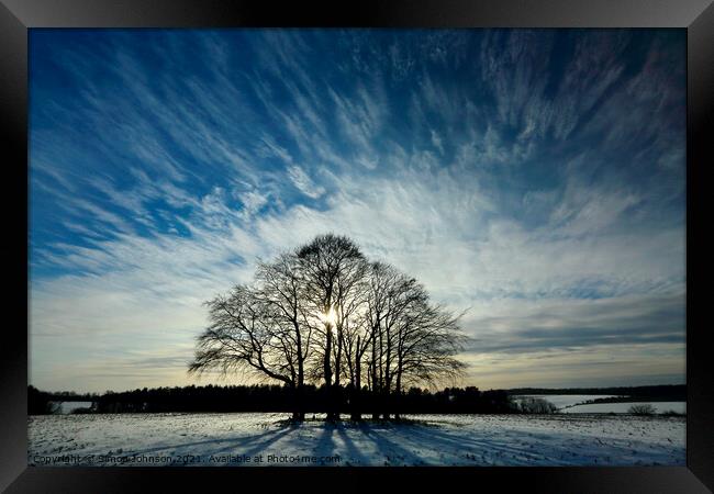 trees and sky Framed Print by Simon Johnson