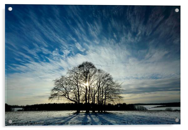 trees and sky Acrylic by Simon Johnson