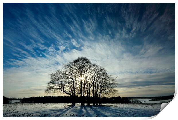 trees and sky Print by Simon Johnson