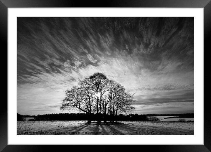 silhouette trees Framed Mounted Print by Simon Johnson
