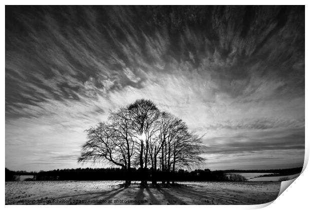silhouette trees Print by Simon Johnson