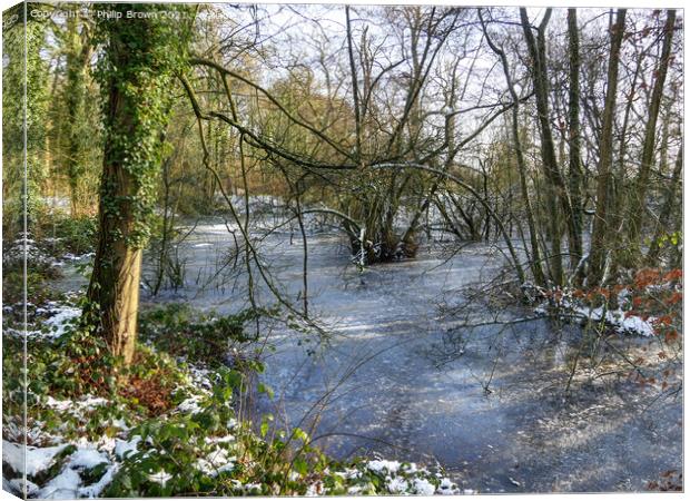 Woodland ice in Winters Snow No 1 Canvas Print by Philip Brown