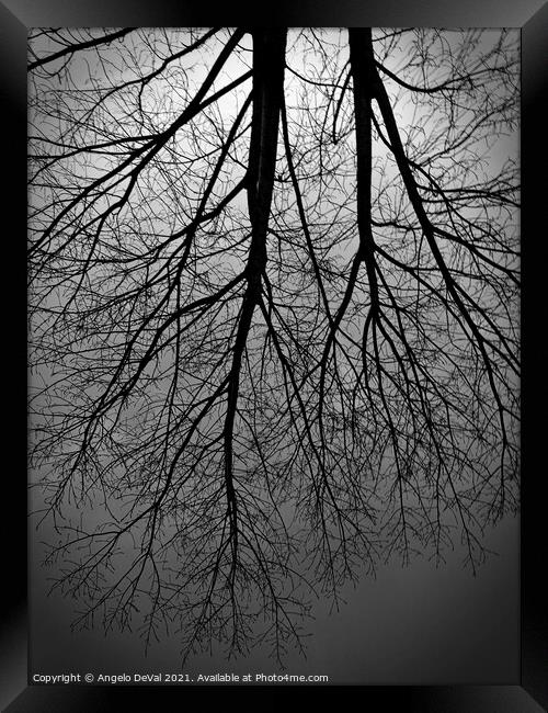 Twilight Tree Framed Print by Angelo DeVal