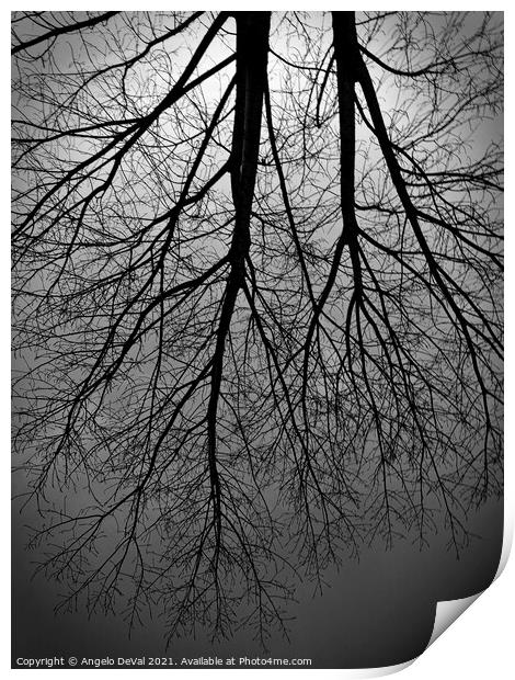 Twilight Tree Print by Angelo DeVal