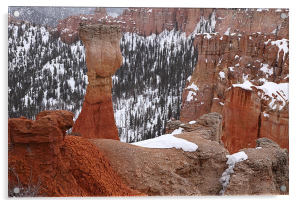 bryce canyon usa Acrylic by milena boeva