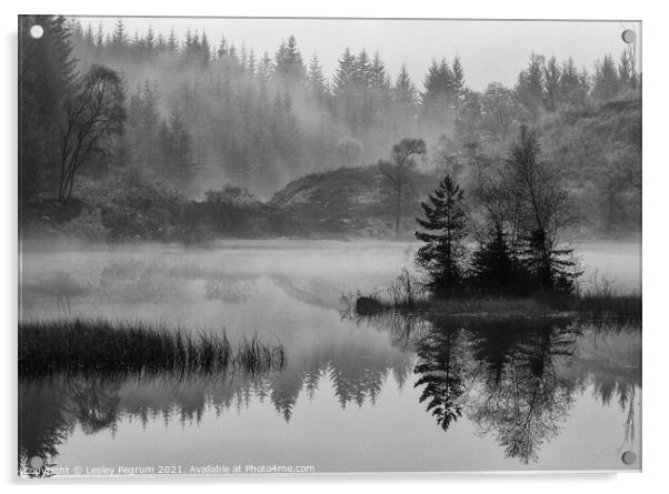 Misty Loch Trossachs Acrylic by Lesley Pegrum