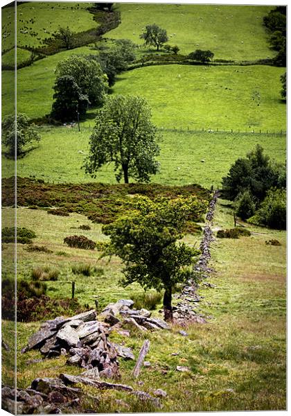 The Hope Valley Derbyshire Canvas Print by Darren Burroughs