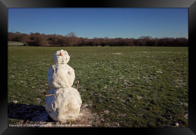 Snowman in a field Framed Print by Sara Melhuish
