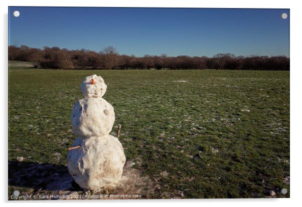 Snowman in a field Acrylic by Sara Melhuish