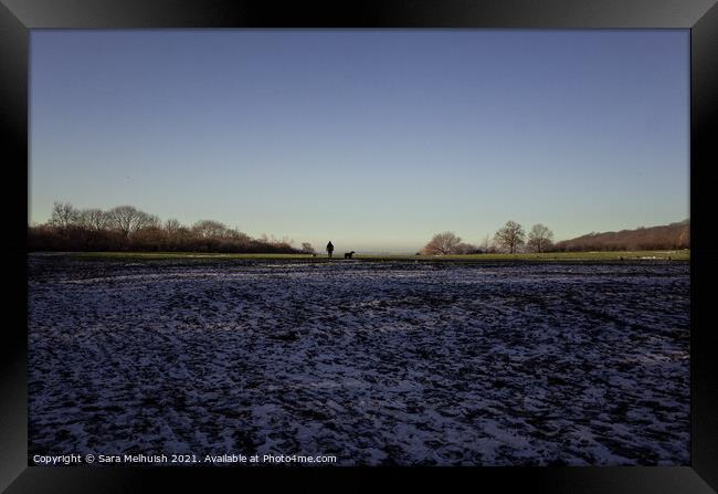 Chilly walk in the sun Framed Print by Sara Melhuish