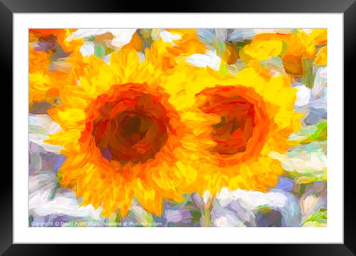 Sunflower Dreaming Art  Framed Mounted Print by David Pyatt