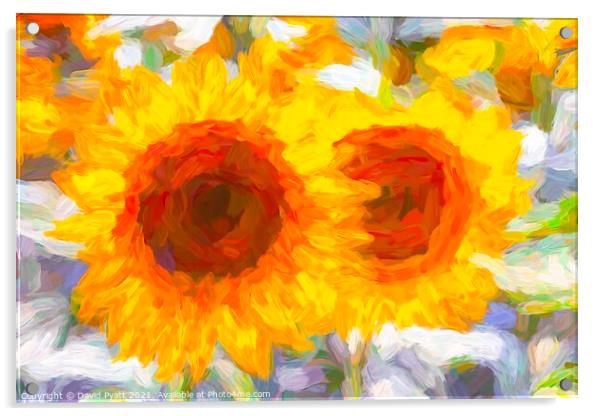 Sunflower Dreaming Art  Acrylic by David Pyatt