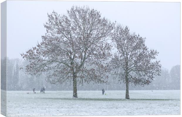 Snow covered trees in London park Canvas Print by Sara Melhuish
