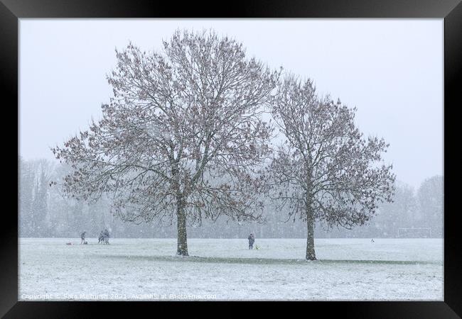 Snow covered trees in London park Framed Print by Sara Melhuish
