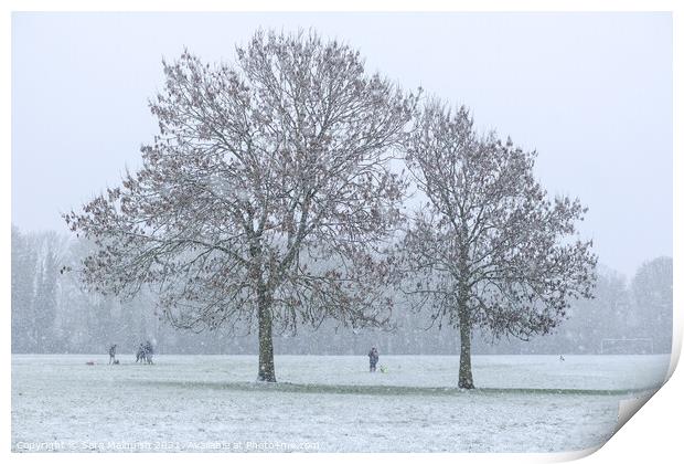 Snow covered trees in London park Print by Sara Melhuish