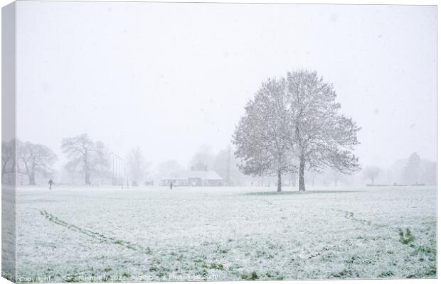 Eltham park in the snow Canvas Print by Sara Melhuish