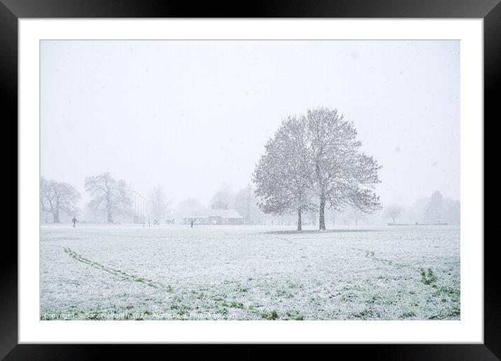 Eltham park in the snow Framed Mounted Print by Sara Melhuish
