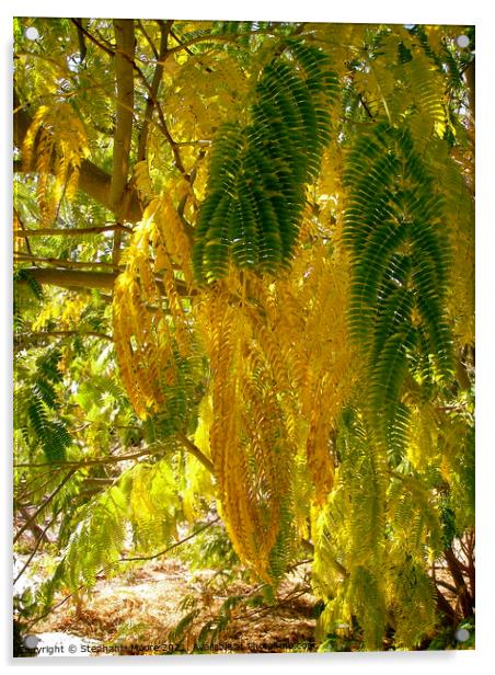Mimosa Leaf Jungle Acrylic by Stephanie Moore