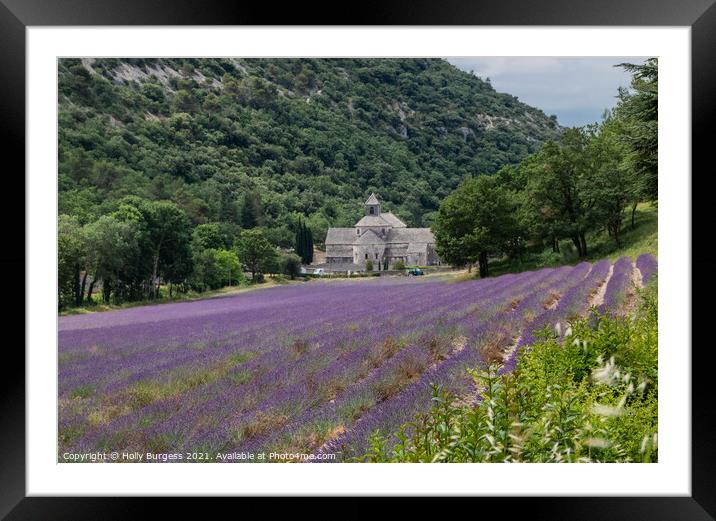 Provence Lavender field area, France  Framed Mounted Print by Holly Burgess