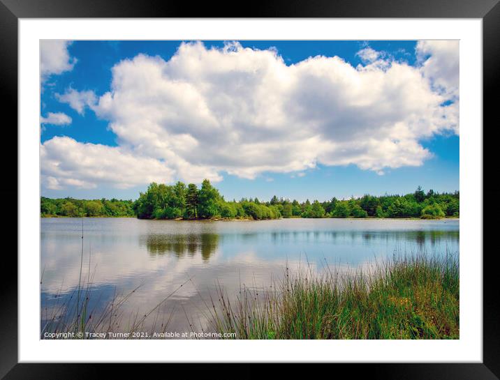 Reflections on Woorgreens Lake, Forest of Dean Framed Mounted Print by Tracey Turner