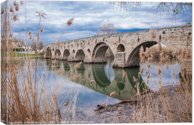 Beziers Bridge over water France  Canvas Print by Holly Burgess