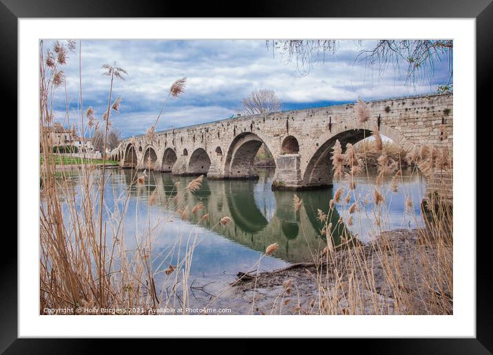 Beziers Bridge over water France  Framed Mounted Print by Holly Burgess