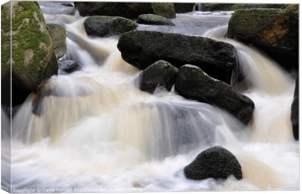 Water flowing down between rocks Canvas Print by David Forrest