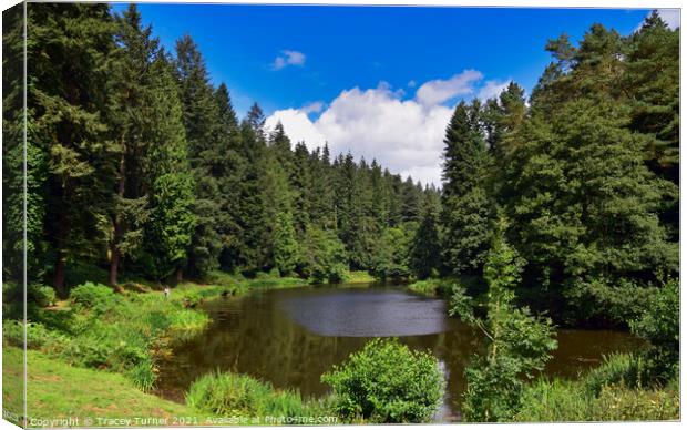 Serene Soudley Ponds in the Forest of Dean Canvas Print by Tracey Turner