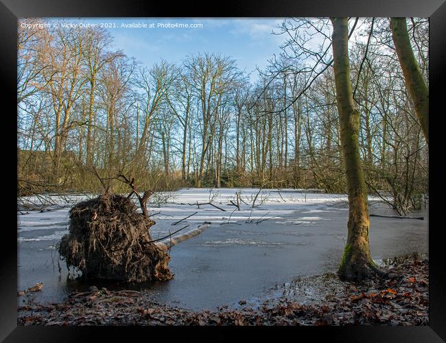A fallen tree in a frozen pond with snow on fallen Framed Print by Vicky Outen