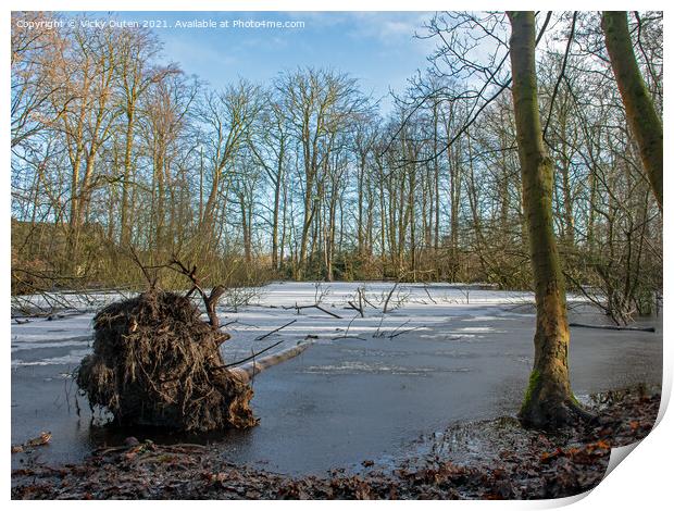 A fallen tree in a frozen pond with snow on fallen Print by Vicky Outen