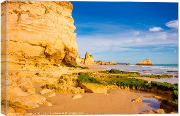 Beaches and cliffs of Praia Rocha, Algarve - 1 Canvas Print by Jordi Carrio